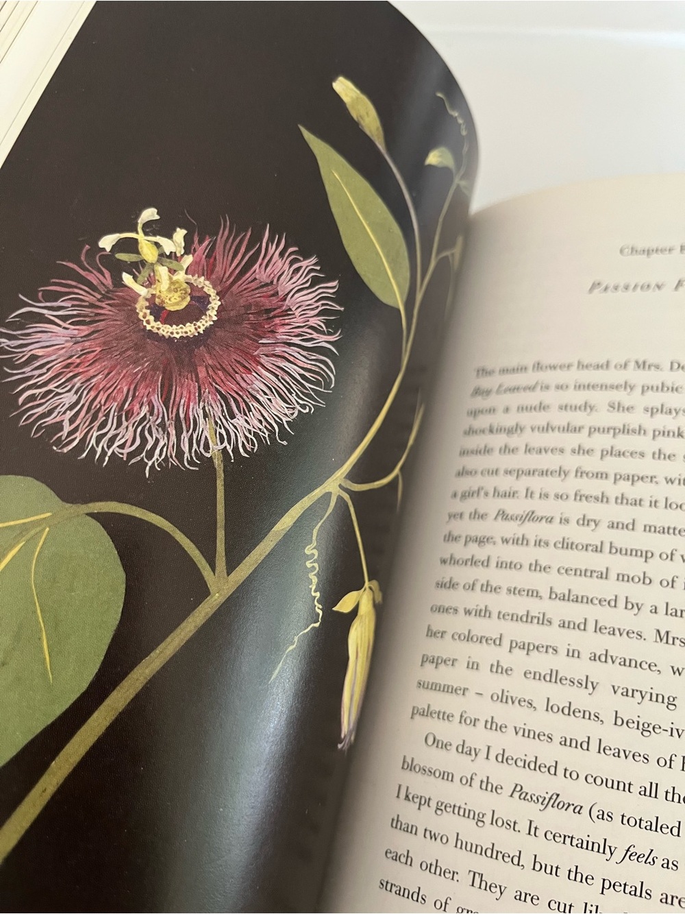 “The Paper  Garden” book by Molly Peacock, Bestseller!